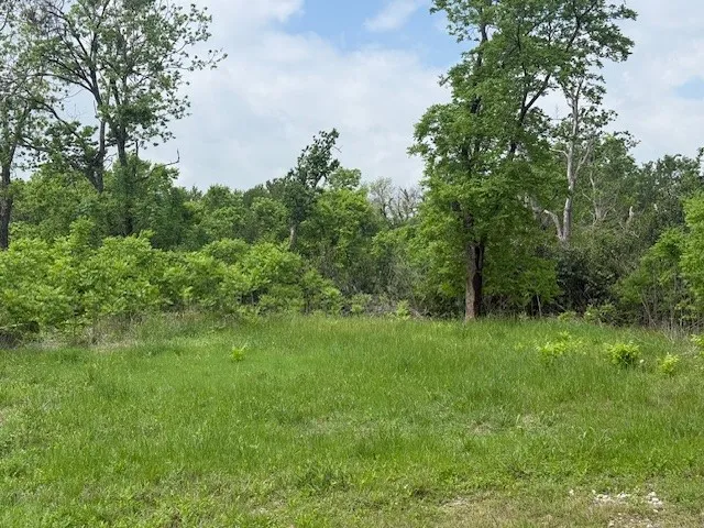 1017 Caron Robinson, TX 76706