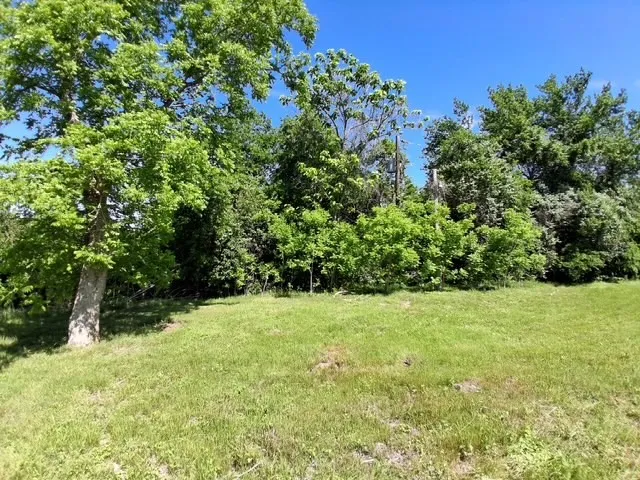 1017 Caron Robinson, TX 76706