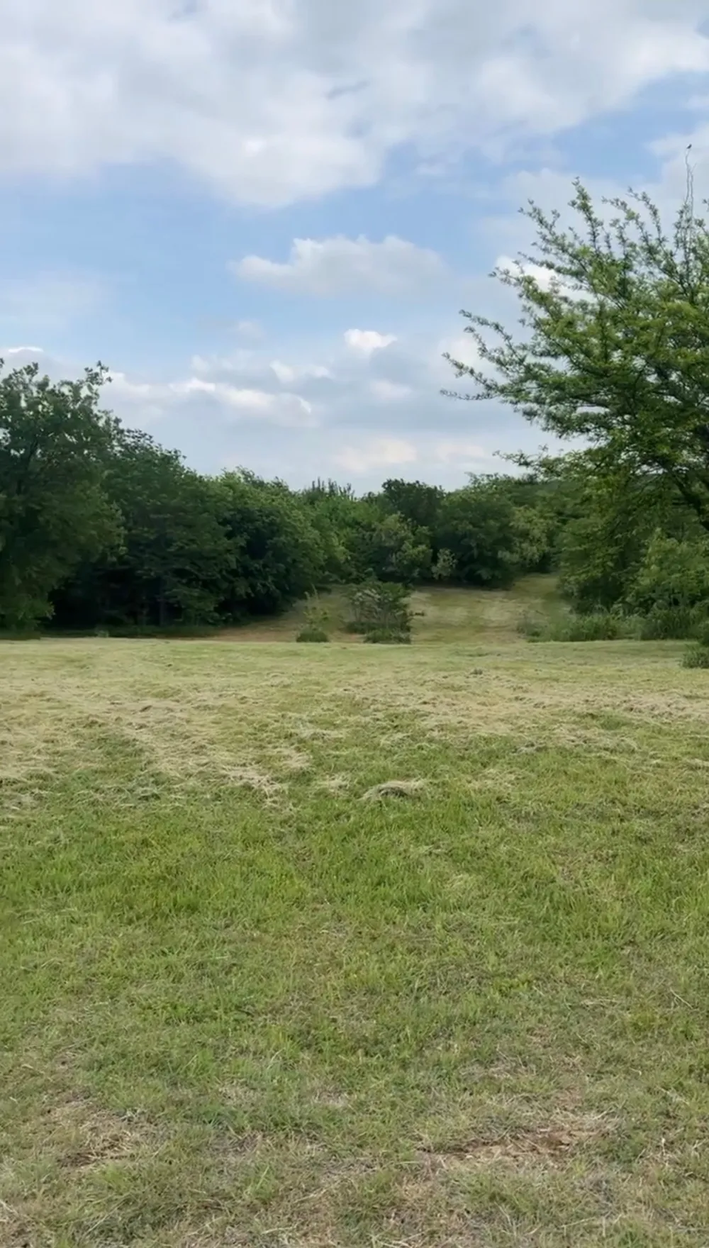 1207 Tulip Court Grand Prairie, TX 75104