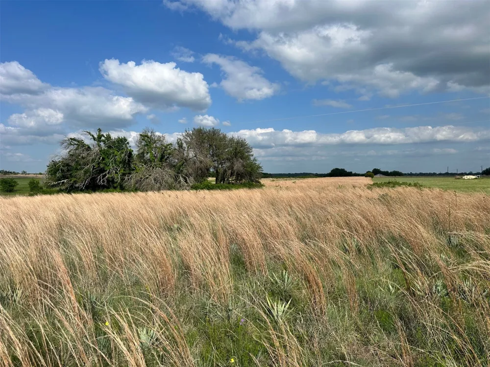 C R 438 Dublin, TX 76446