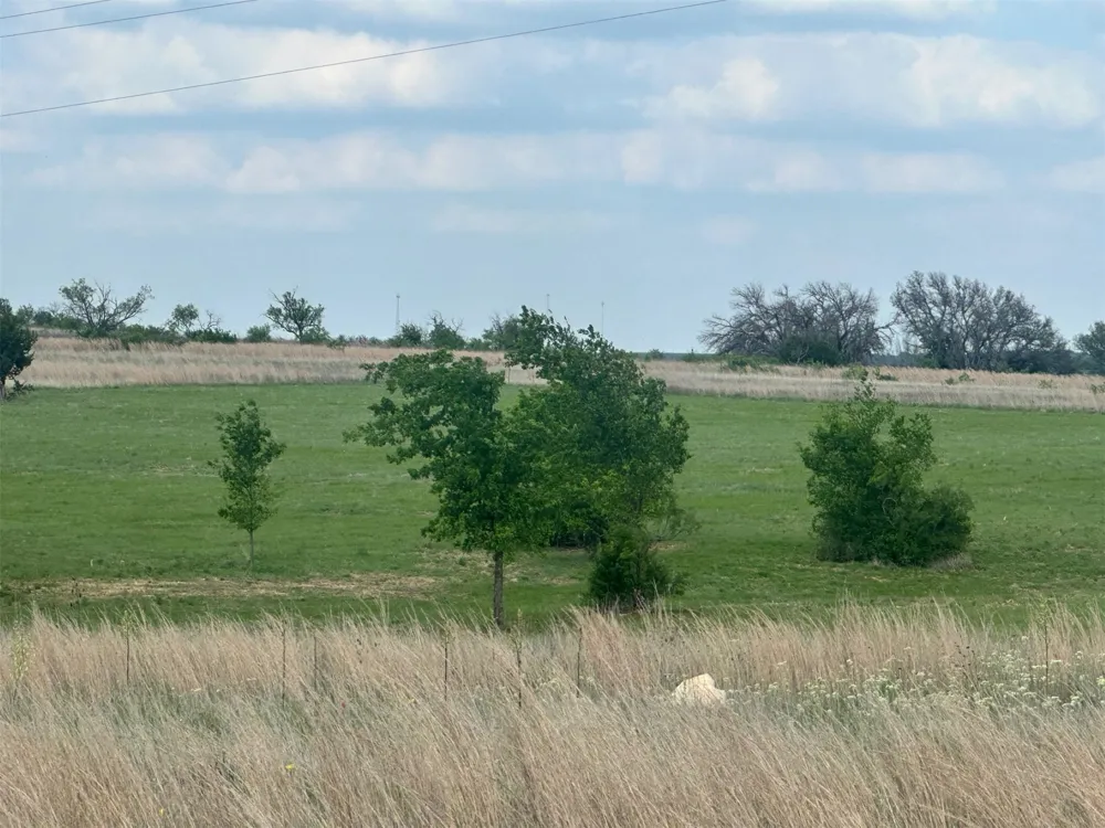 C R 438 Dublin, TX 76446