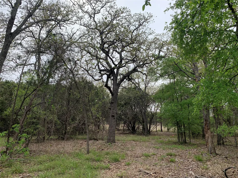 1039 Creek Crossing Road Nemo, TX 76070