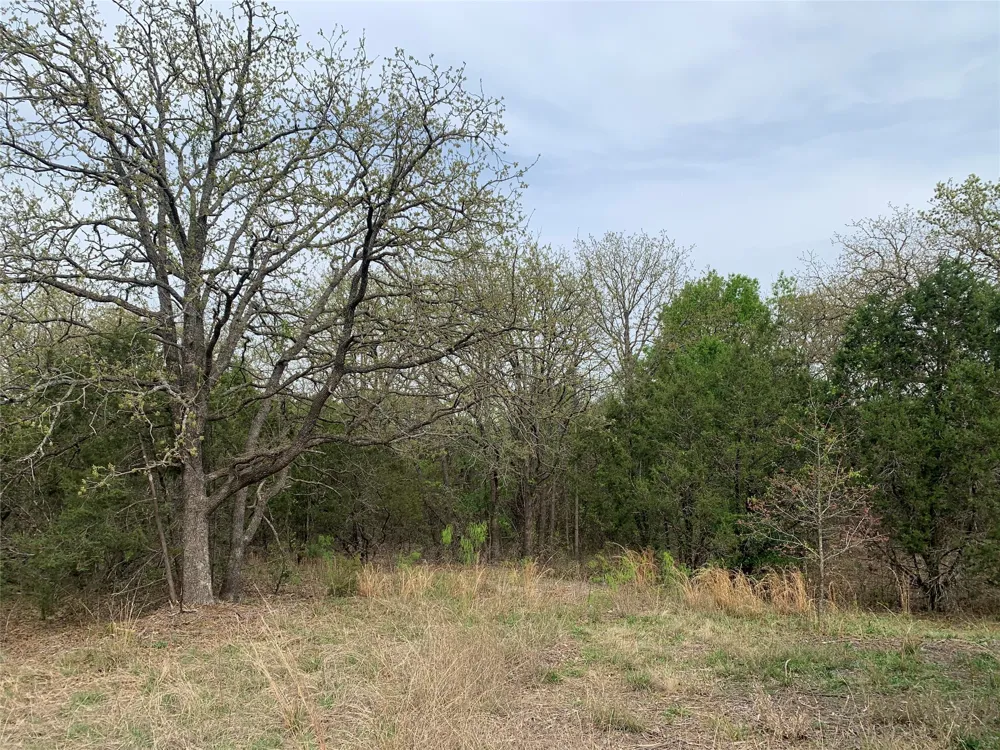 1039 Creek Crossing Road Nemo, TX 76070