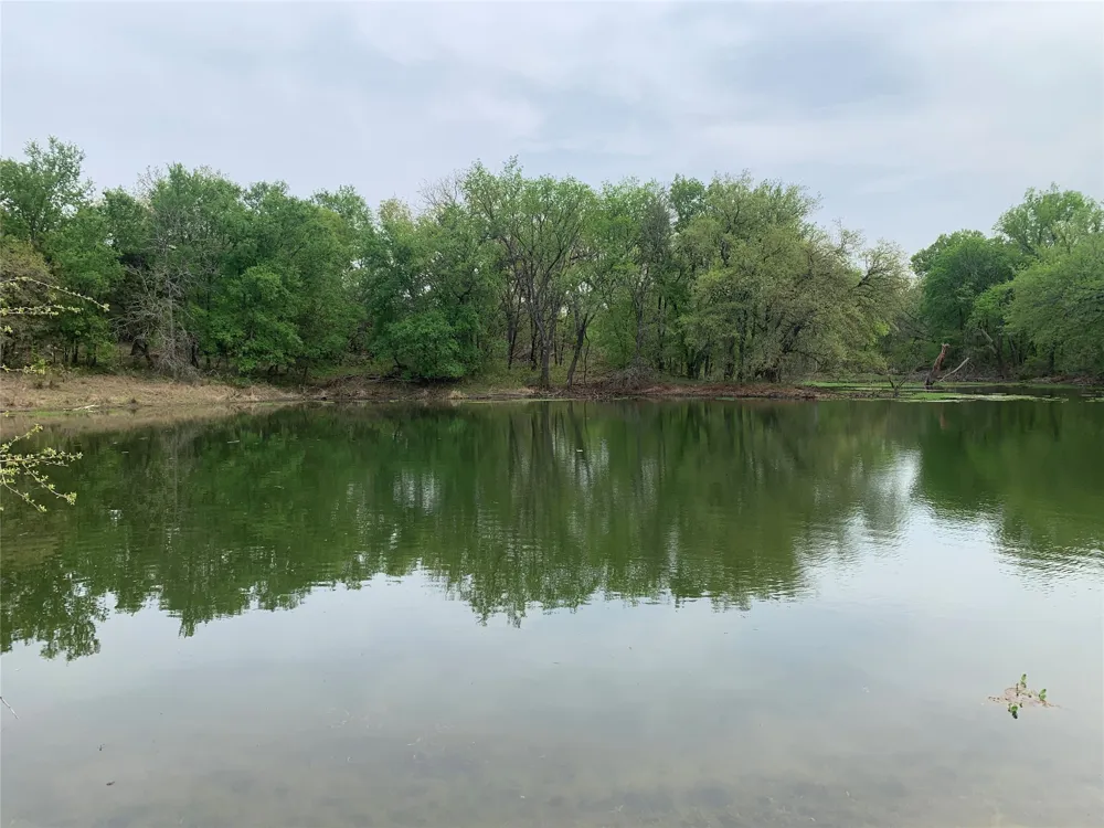 1039 Creek Crossing Road Nemo, TX 76070