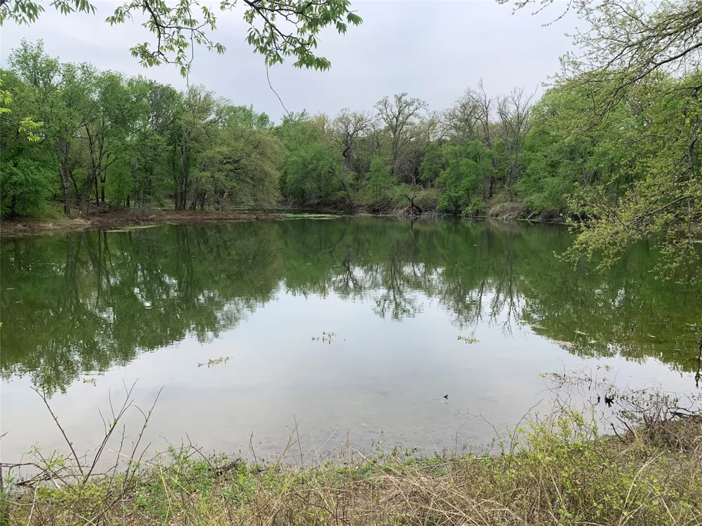 1039 Creek Crossing Road Nemo, TX 76070