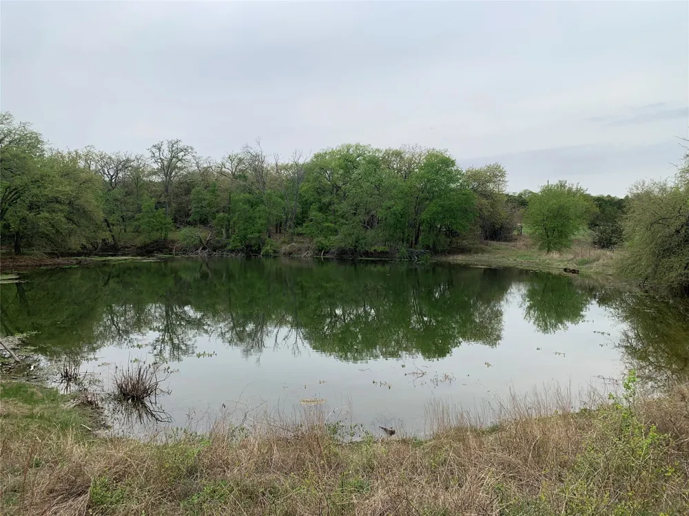 1039 Creek Crossing Road Nemo, TX 76070