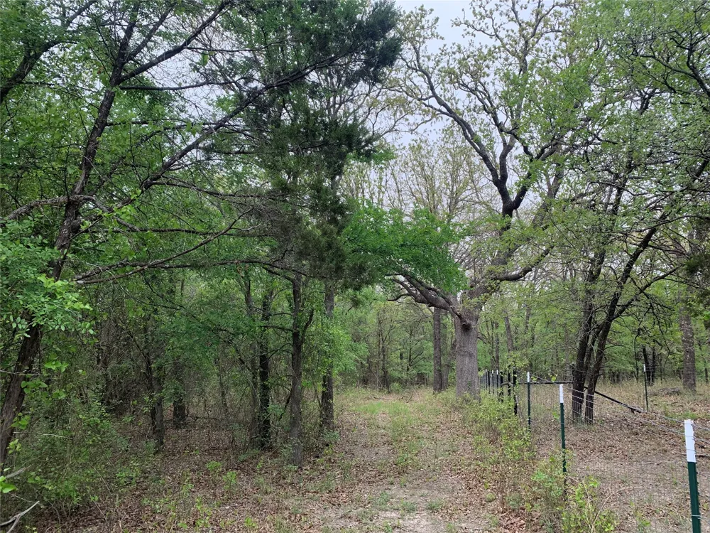 1039 Creek Crossing Road Nemo, TX 76070