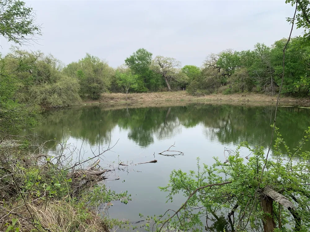 1039 Creek Crossing Road Nemo, TX 76070