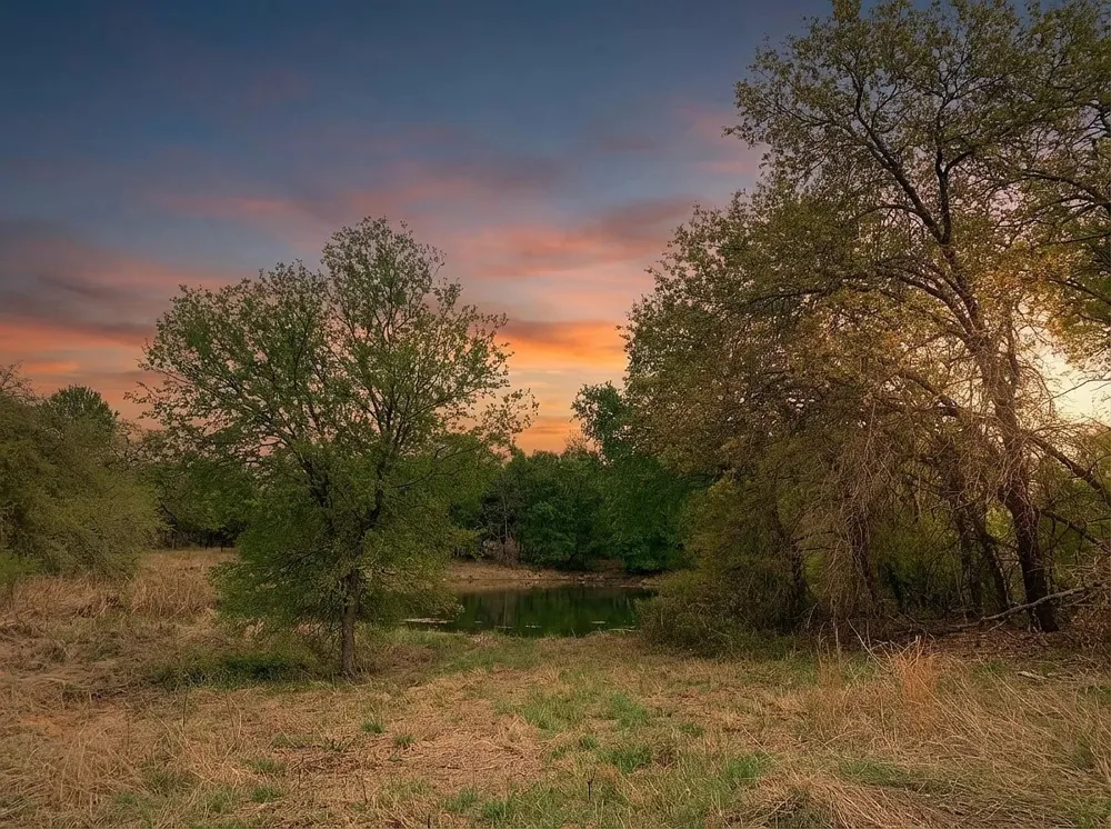 1039 Creek Crossing Road Nemo, TX 76070