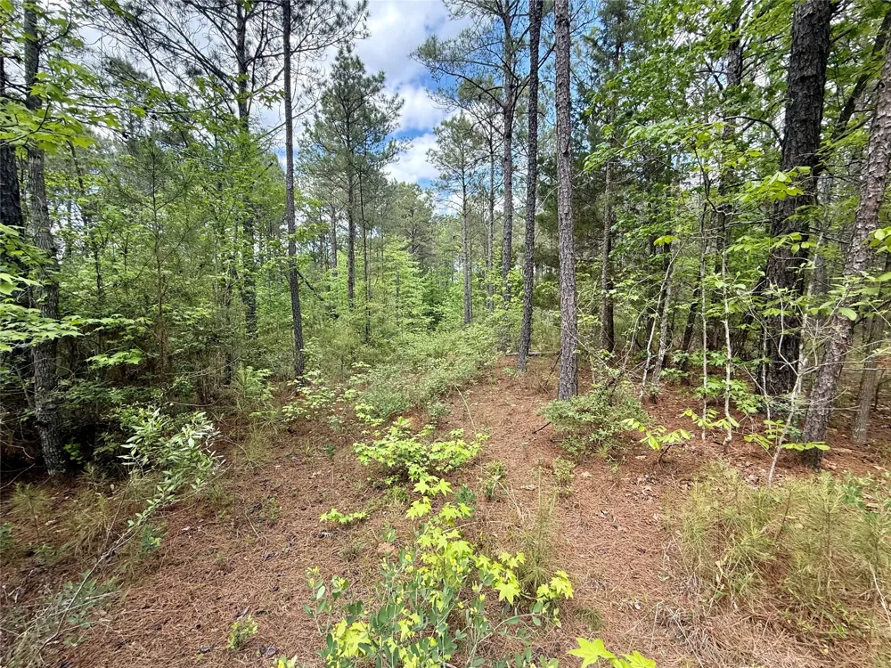 130 Doyston Simsboro, LA 71275