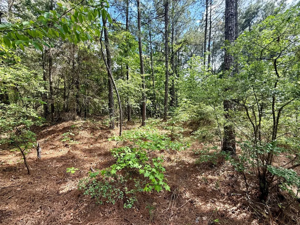 130 Doyston Simsboro, LA 71275