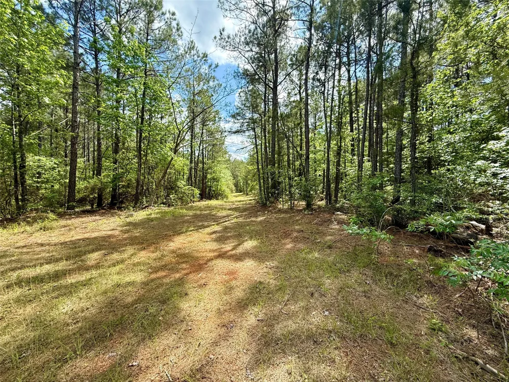 130 Doyston Simsboro, LA 71275
