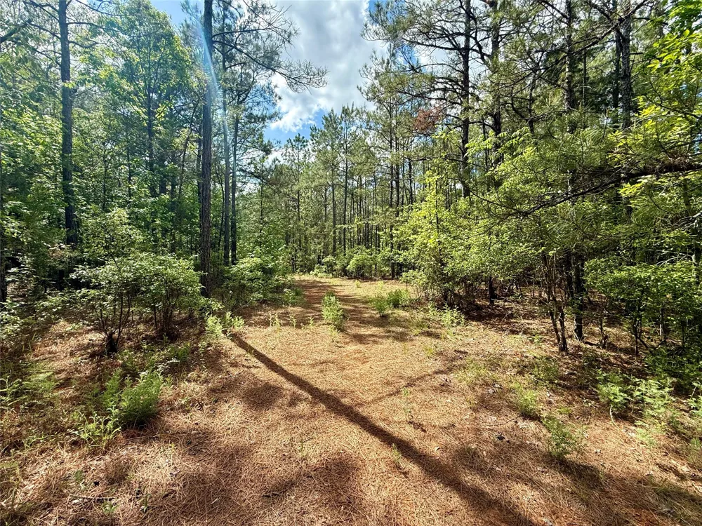 130 Doyston Simsboro, LA 71275