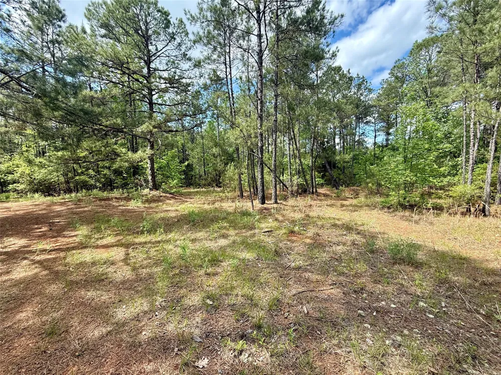 130 Doyston Simsboro, LA 71275