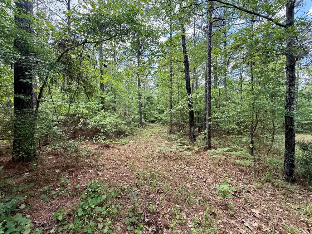 130 Doyston Simsboro, LA 71275