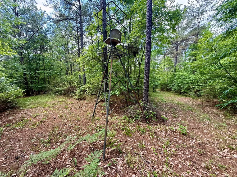 130 Doyston Simsboro, LA 71275