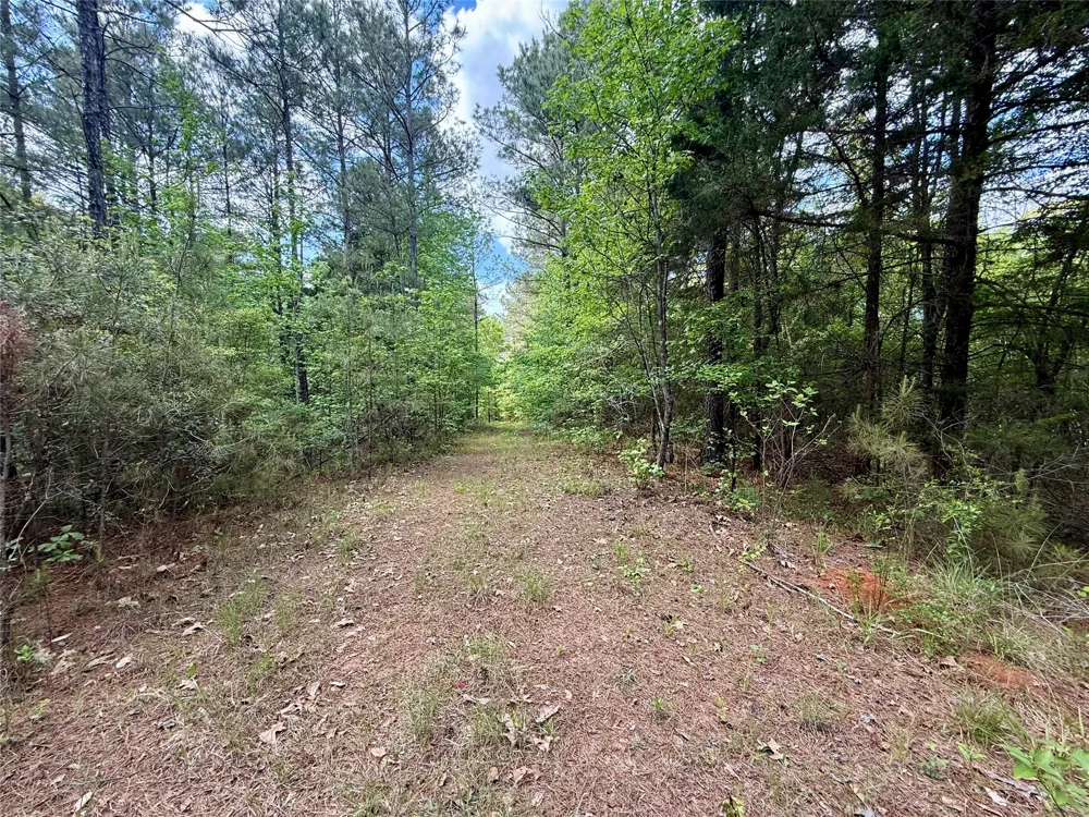 130 Doyston Simsboro, LA 71275