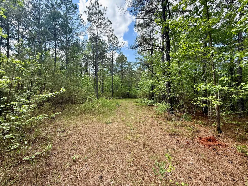 130 Doyston Simsboro, LA 71275