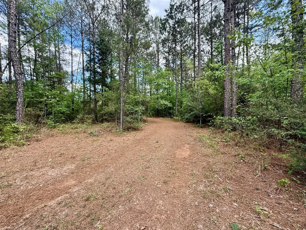 130 Doyston Simsboro, LA 71275