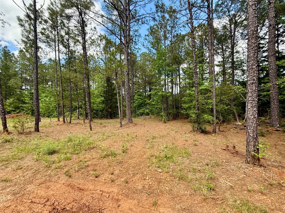130 Doyston Simsboro, LA 71275