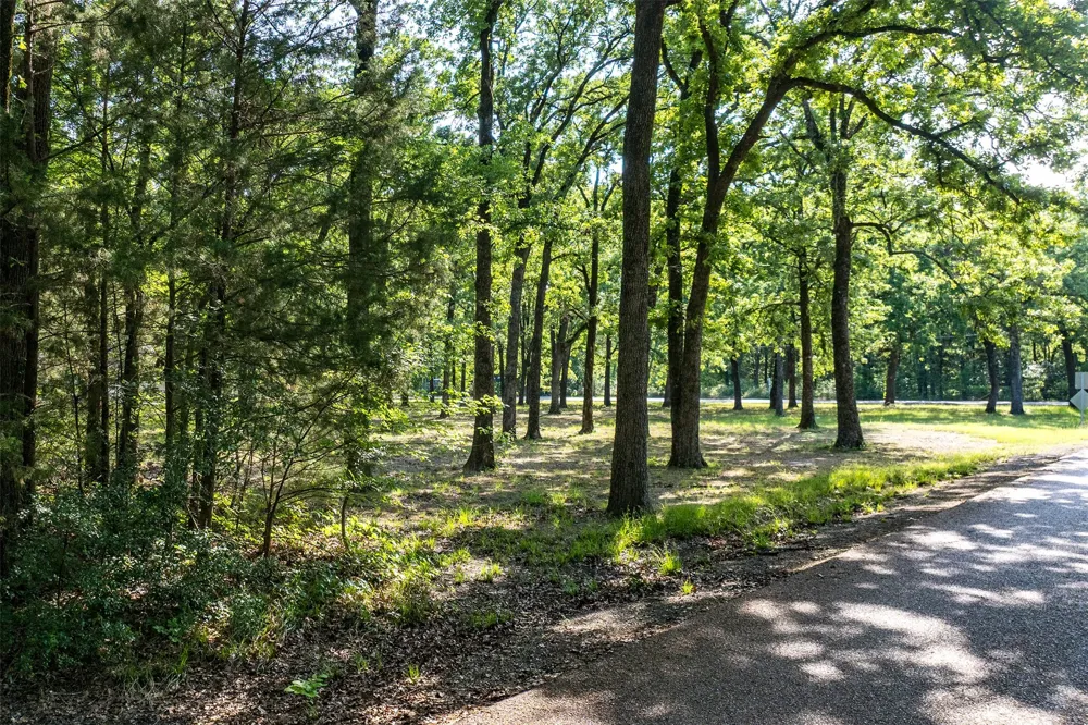 104 Lark Drive Enchanted Oaks, TX 75156