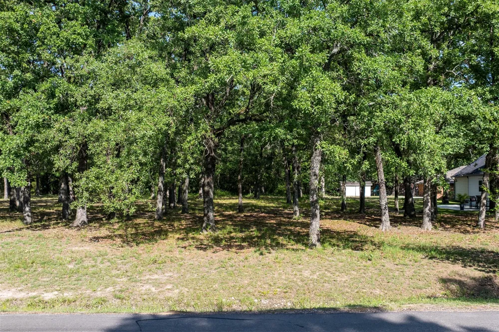 104 Lark Drive Enchanted Oaks, TX 75156