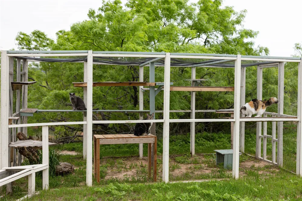 1700 County Road 207 Ovalo, TX 79541
