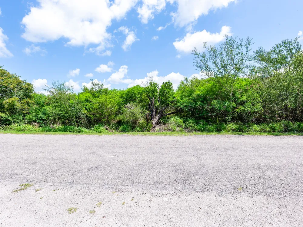 Carmel Drive Sandia, TX 78383