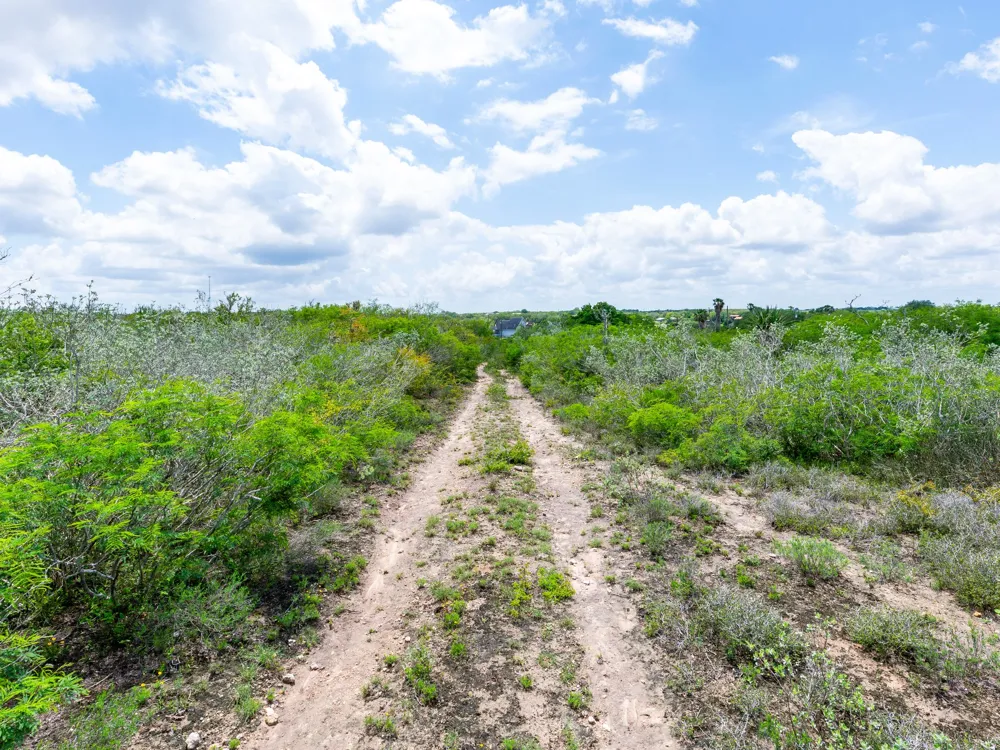 Carmel Drive Sandia, TX 78383