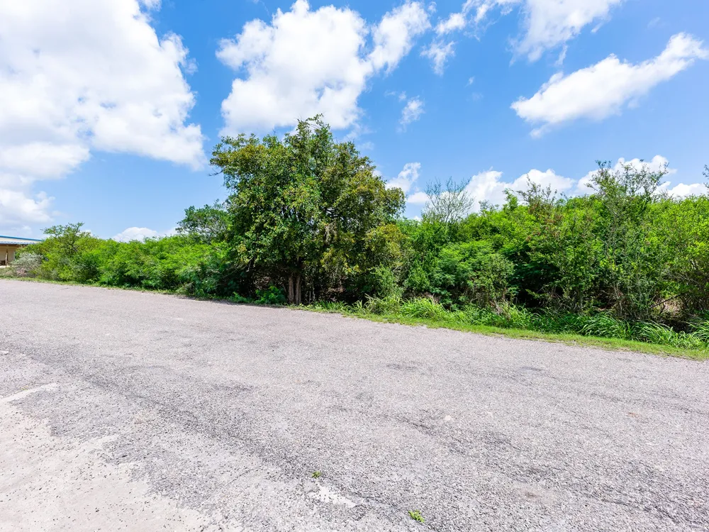 Carmel Drive Sandia, TX 78383