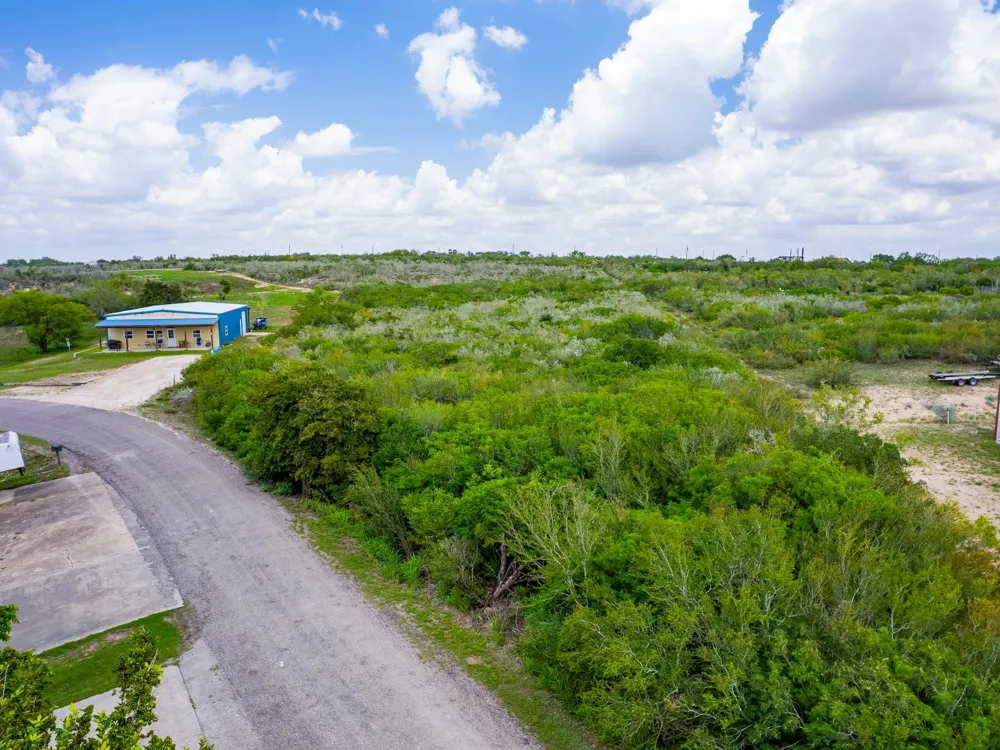 Carmel Drive Sandia, TX 78383