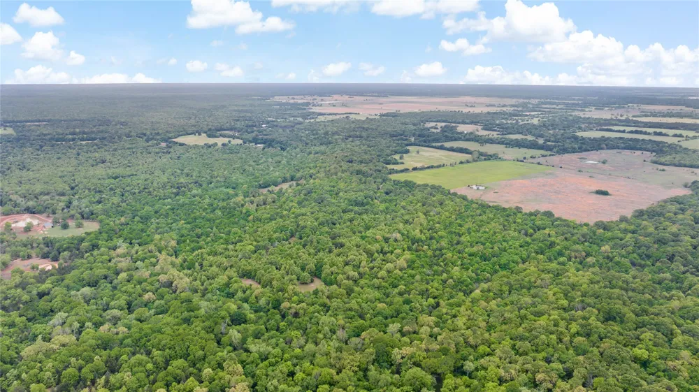 10860 Farm Road 197 Arthur City, TX 75411