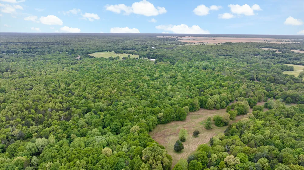 10860 Farm Road 197 Arthur City, TX 75411