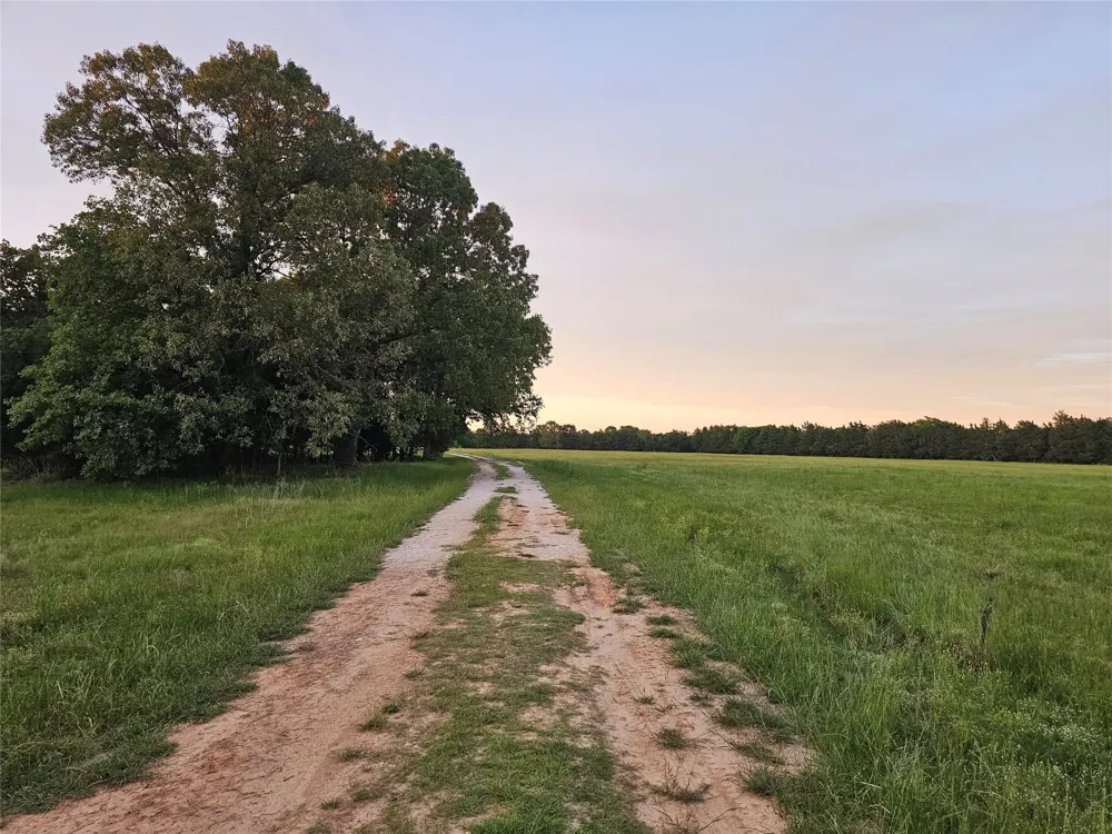 10860 Farm Road 197 Arthur City, TX 75411