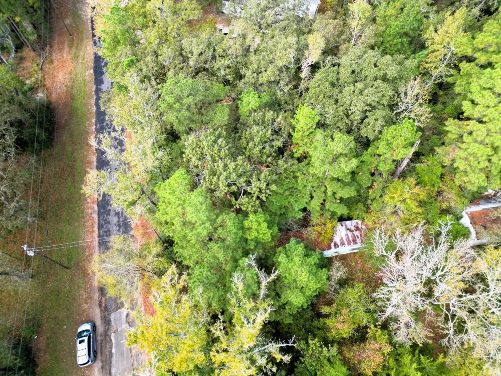 307 Cherokee Drive Trinity, TX 75862