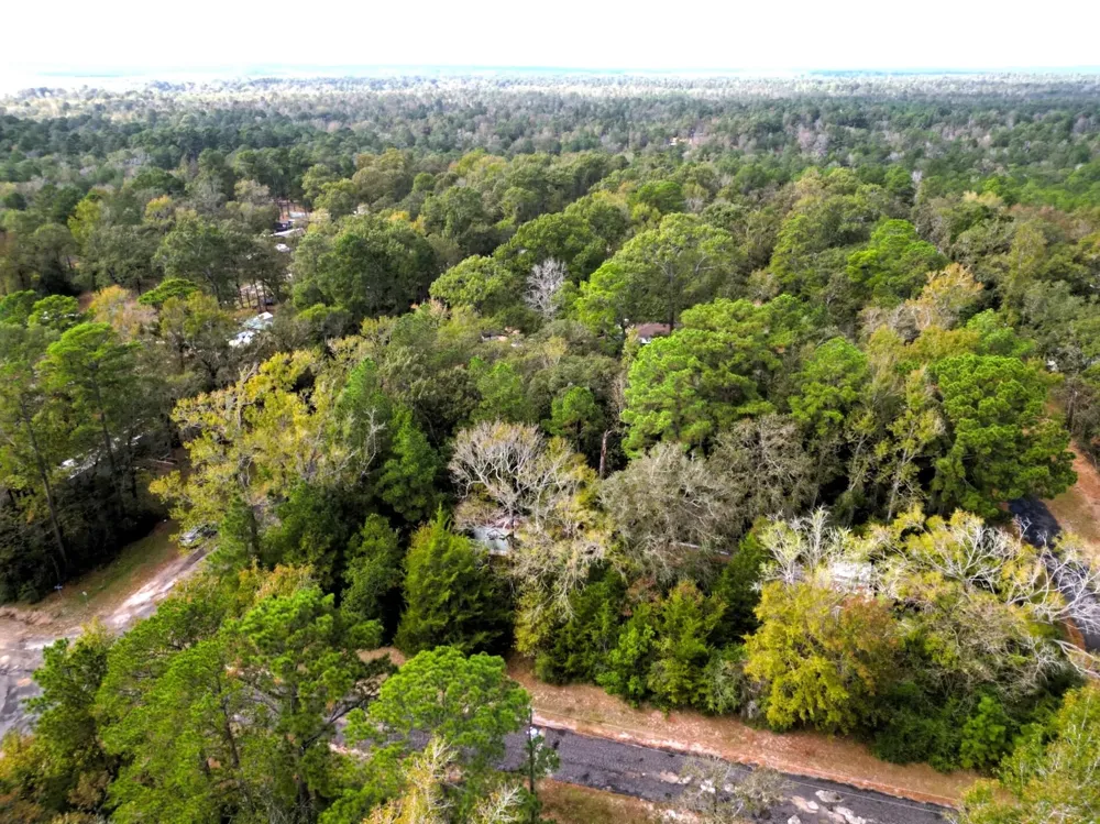 307 Cherokee Drive Trinity, TX 75862