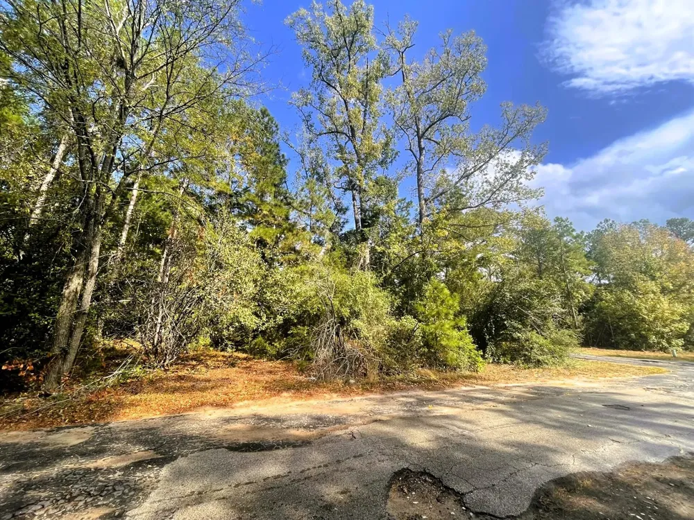 307 Cherokee Drive Trinity, TX 75862