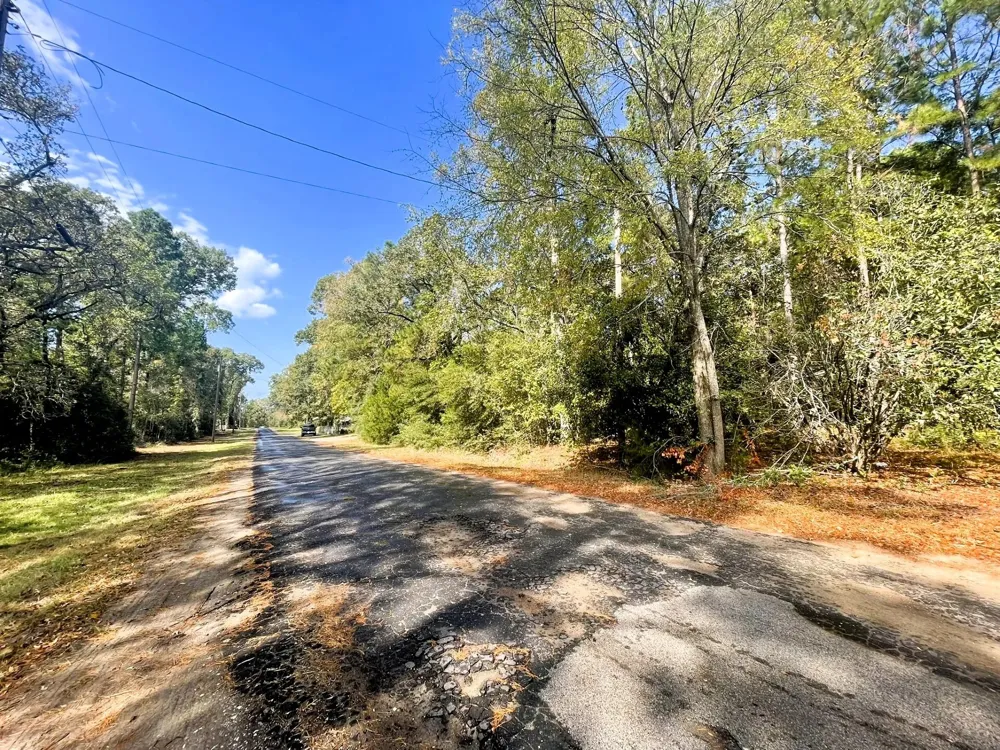 307 Cherokee Drive Trinity, TX 75862