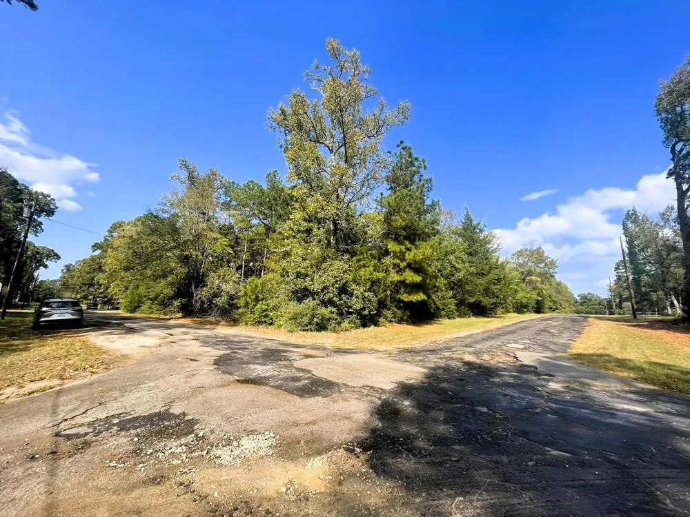 307 Cherokee Drive Trinity, TX 75862