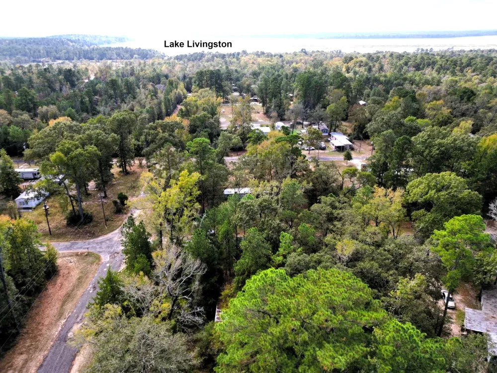 307 Cherokee Drive Trinity, TX 75862