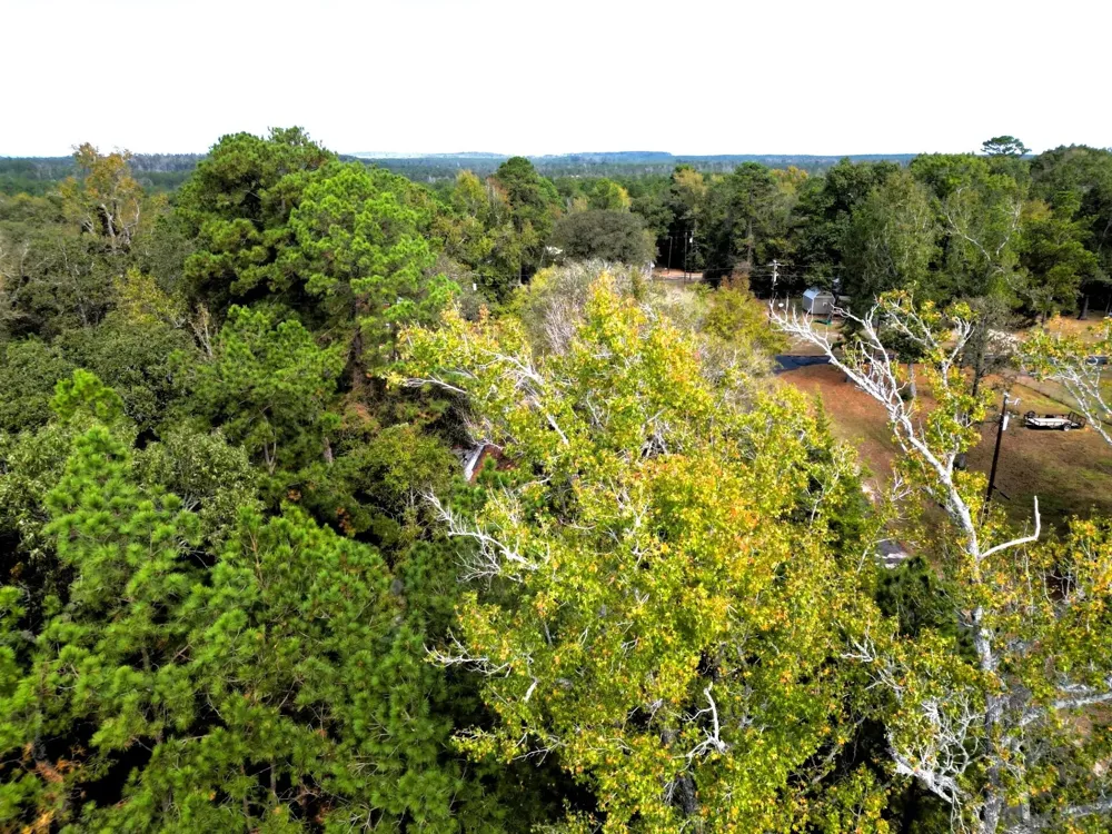 307 Cherokee Drive Trinity, TX 75862