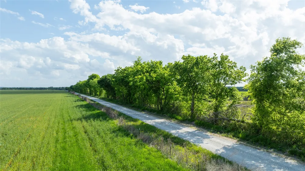 CR 26150 Roxton, TX 75477