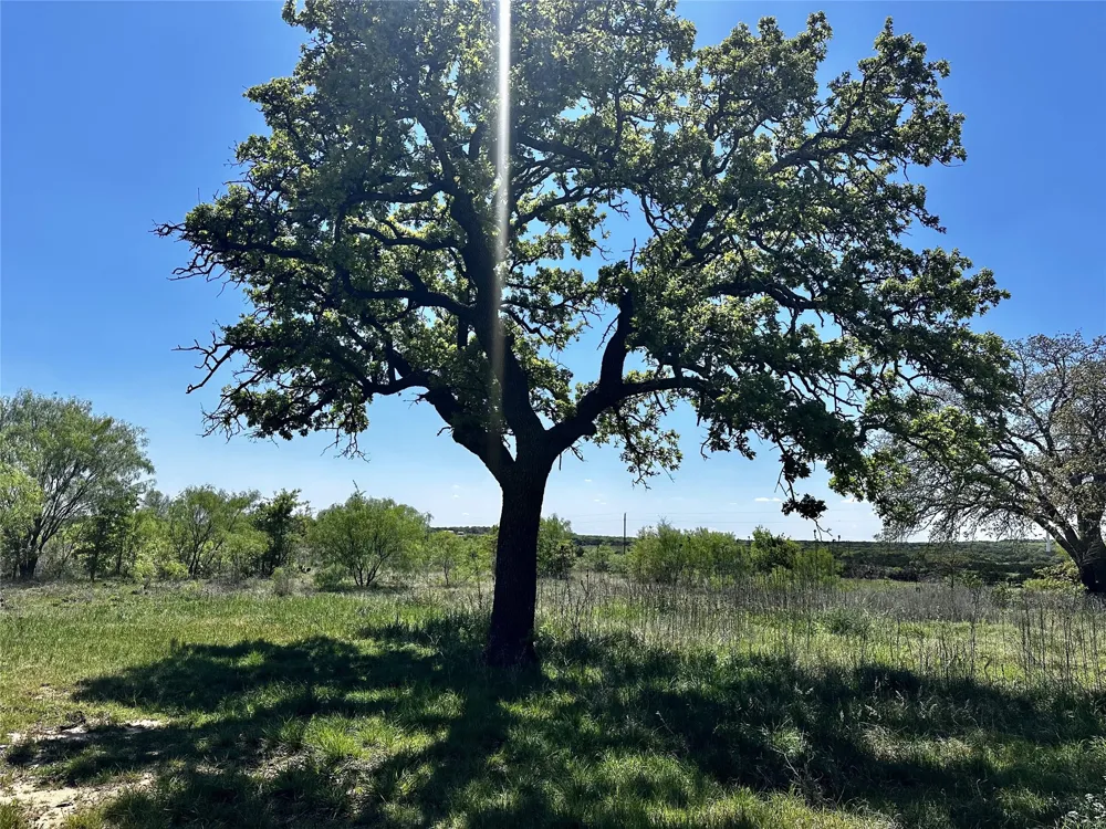 9842 Fm 2228 Baird, TX 79504