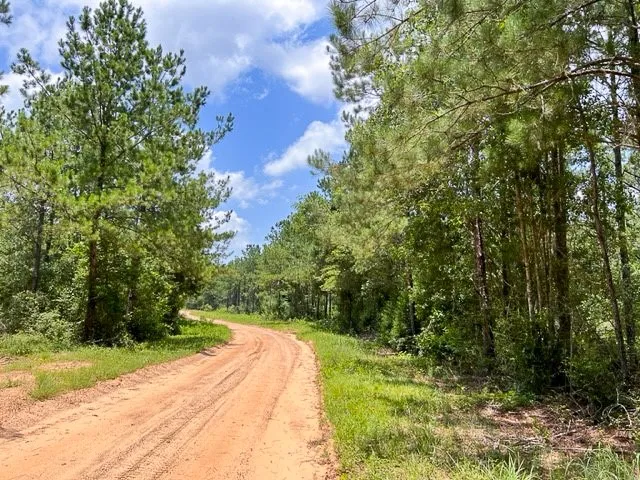 T-8 County Road 1425 Woodville, TX 75979