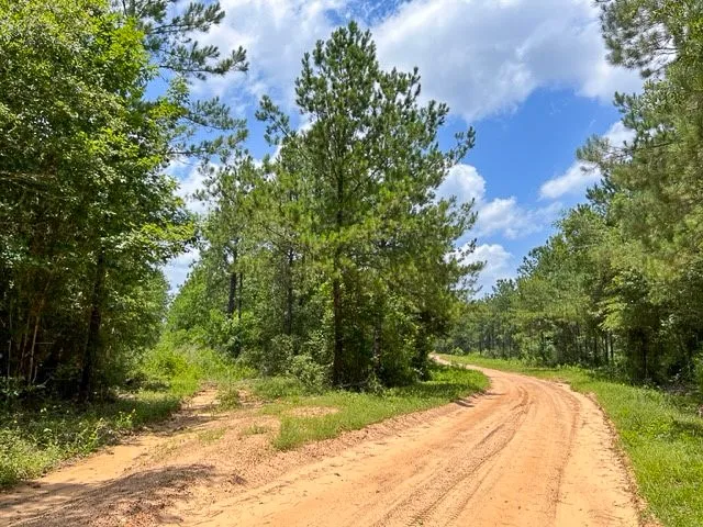 T-8 County Road 1425 Woodville, TX 75979