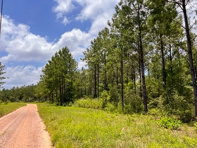 T-8 County Road 1425 Woodville, TX 75979