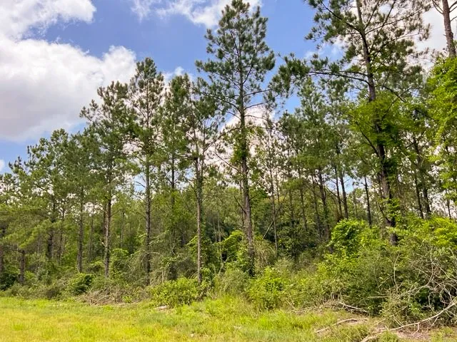 T-8 County Road 1425 Woodville, TX 75979