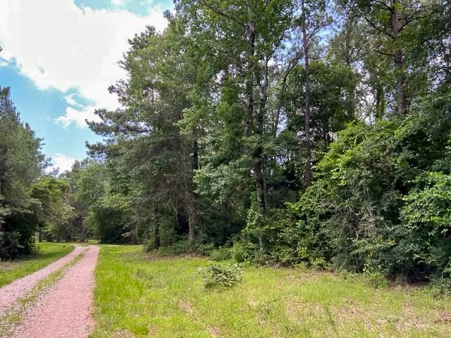 T-8 County Road 1425 Woodville, TX 75979