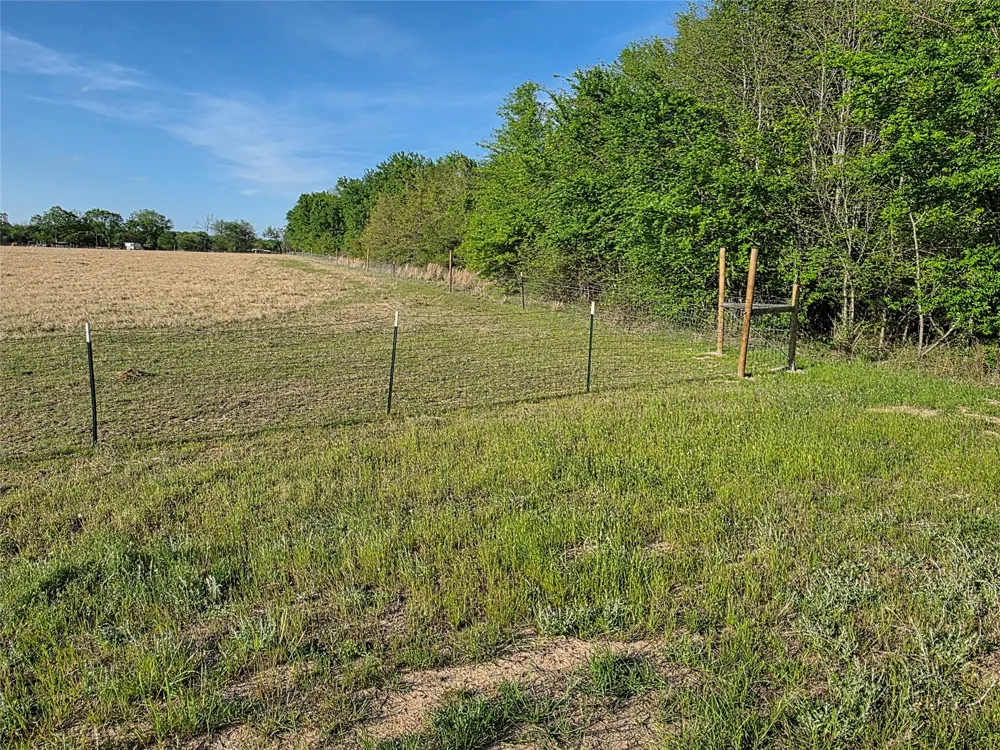 550 RS COUNTY ROAD 3425 Emory, TX 75440