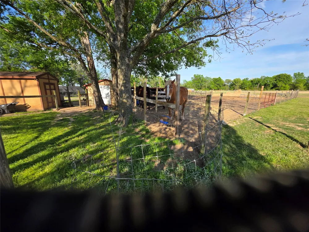 550 RS COUNTY ROAD 3425 Emory, TX 75440